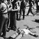 Human Rights Day: Sharpeville Commemorations ignore Robert Sobukwe
